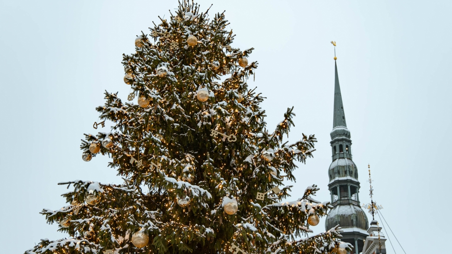 Pirmajā adventē iedegs Rīgas Ziemassvētku egles 