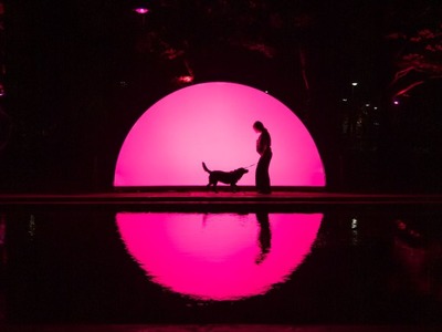 “Dārzs, kur saule riet” ir audiovizuāla pilsētvides instalācija, kurā katrs apmeklētājs var uz brīdi nokļūt romantiskā, mierpilnā, draudzības, mīlestības un saulrieta gaismas piepildītā vidē.