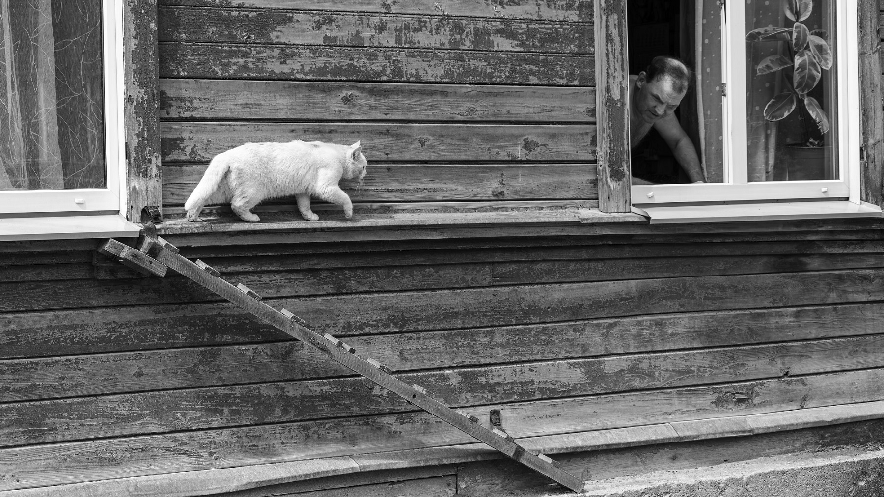 28. novembrī tiks atklāta fotokonkursa "Meklējot Pārdaugavu" izstāde un apbalvoti uzvarētāji