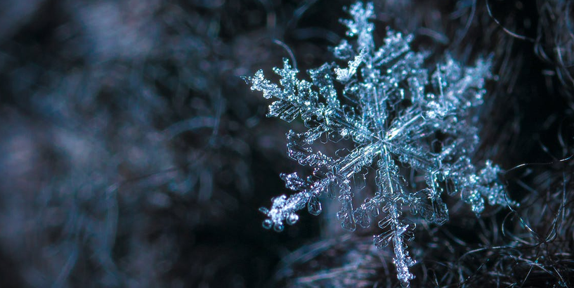 Adventa laika koncertu cikls "Gadalaiku krāsas. Ziema skan"