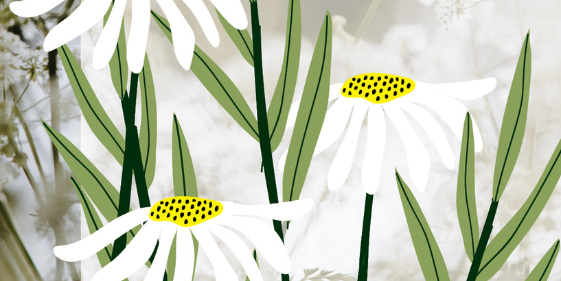 Ielīgošanas pasākums “Rūtoj, rūtoj!”