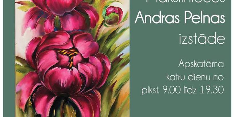 Andras Pelnas izstāde “Dāvinātais laiks” 