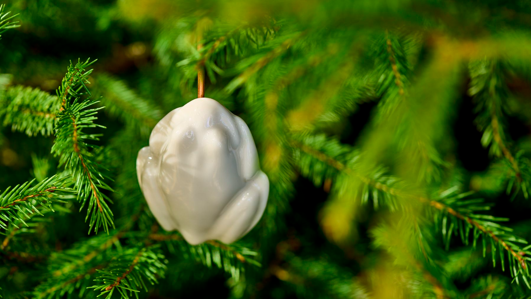 Ekspresizstāde “Egles rotājums” Rīgas Porcelāna muzejā