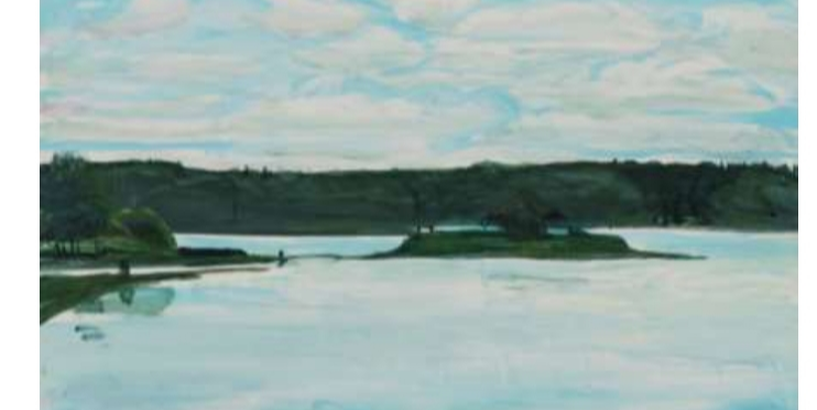 DAUGAVAS LASĪJUMI -II 