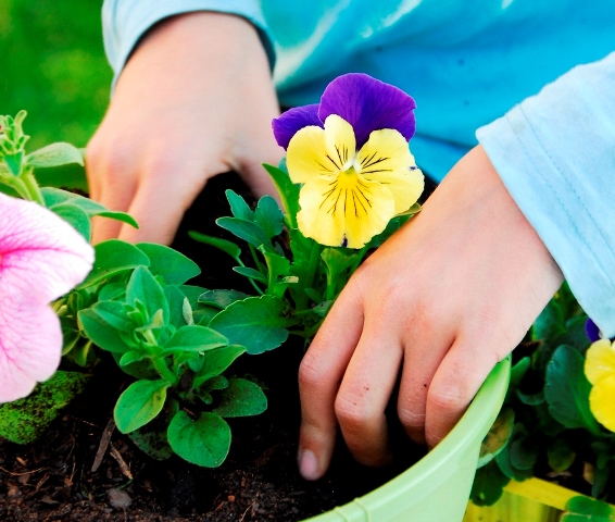 Pilnveides kursi vides izglītības un dabaszinību skolotājiem