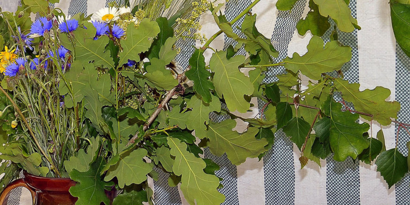 Rezultāti izsolei par ekskluzīvām tiesībām piegādāt produkciju pasākumā “Līgosim Krastmalā! Pirms simts gadiem Daugavmalā…”