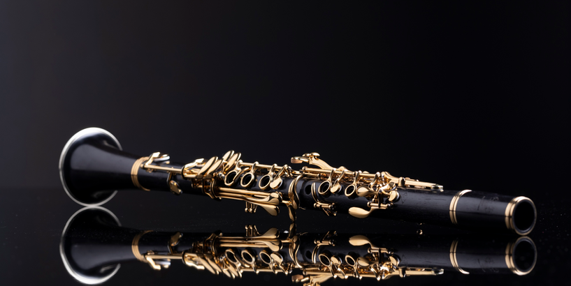 #ĒKULTŪRA: ieklausies Orķestrī “Rīga”