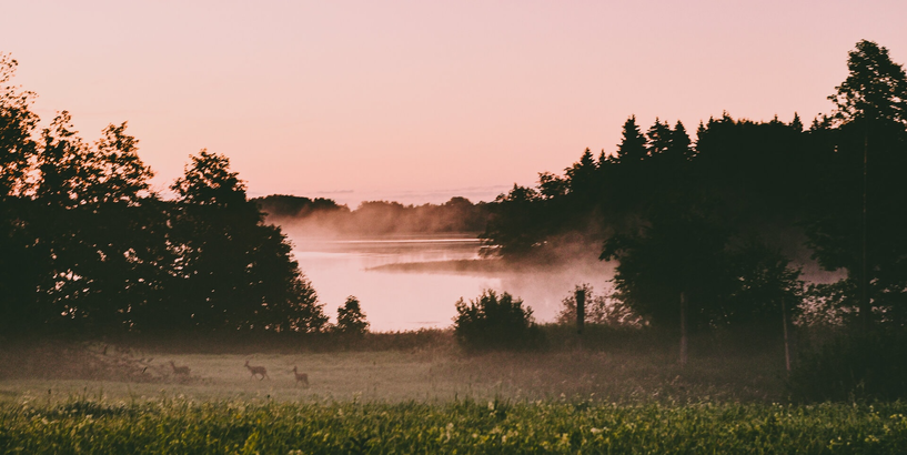 Koru koncerts “Ceļā uz Dziesmu svētkiem”