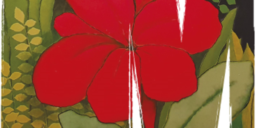 Bērnu izglītojošās programmas nodarbība “Krāsu košums” 