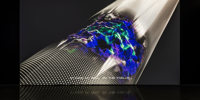 Rīgas Fotogrāfijas biennāles – NEXT 2025 izstāde 