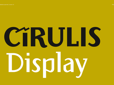 Burtveidols_Cirulis-Display.jpg