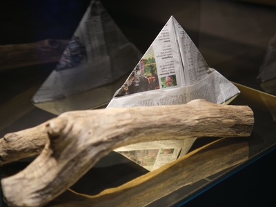 Hanzas jaunais zelts.jpg