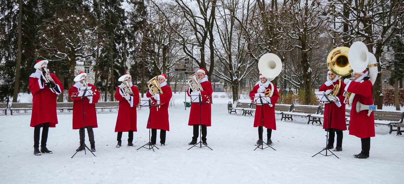 "Ziemassvētku tubas" Ziedoņdārzā