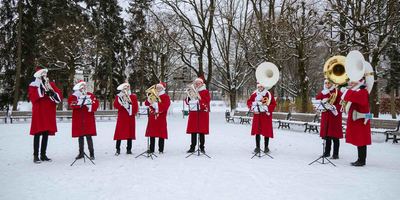 "Ziemassvētku tubas" Ziedoņdārzā