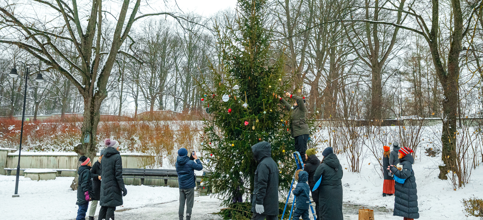Grīziņkalna egles rotāšana