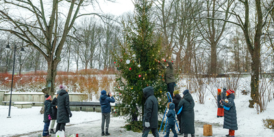 Grīziņkalna egles rotāšana