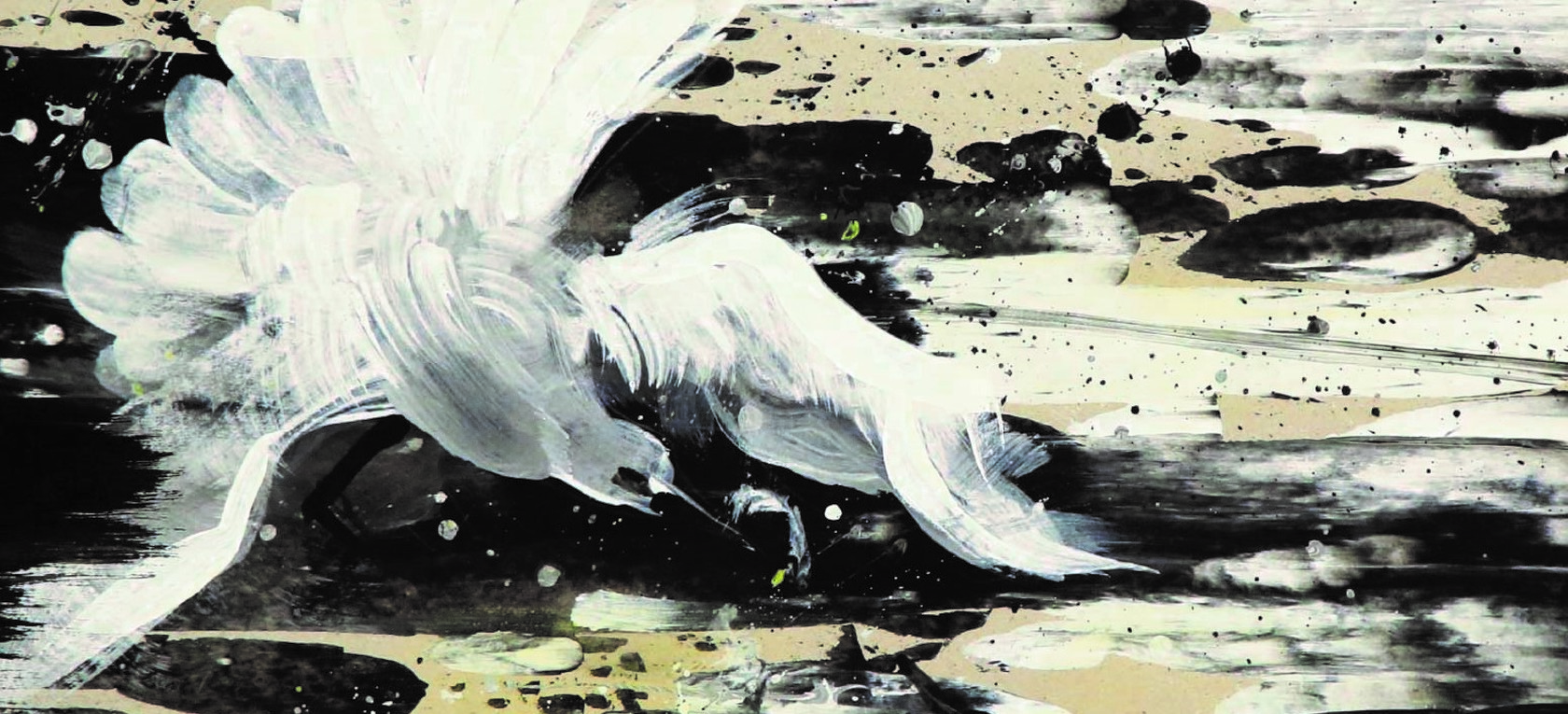 Rīgas Tautas tēlotājmākslas studiju izstāde "Kontrasti"