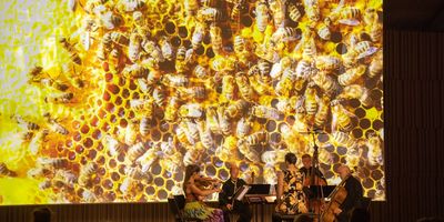 Mežaparka Lielajā estrādē tika atzīmēta Bišu diena