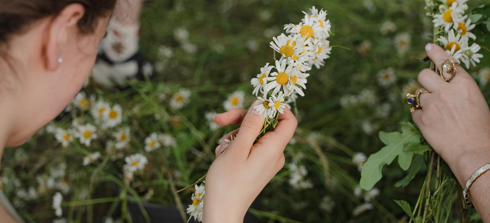 Līgo dārzs Vērmanes dārzā