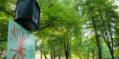 Reiņa Zariņa koncerta atbalss Strazdmuižas parkā, Arkādijas parkā un Viesturdārzā