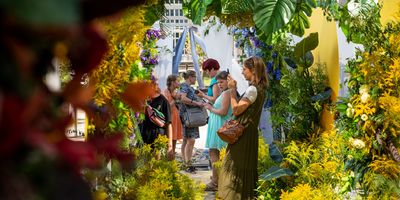 Rīgas svētku "Ziedu labirints"