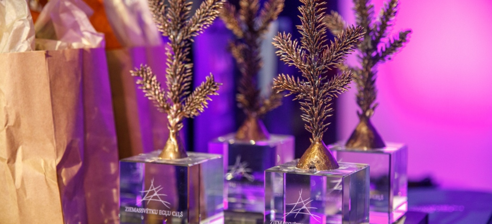 Vides objektu festivāla "Ziemassvētku egļu ceļš" noslēguma pasākums