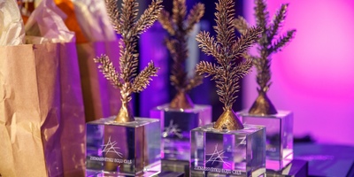 Vides objektu festivāla "Ziemassvētku egļu ceļš" noslēguma pasākums